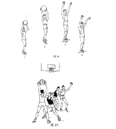 如何借助专业篮球教练提升个人声誉_0